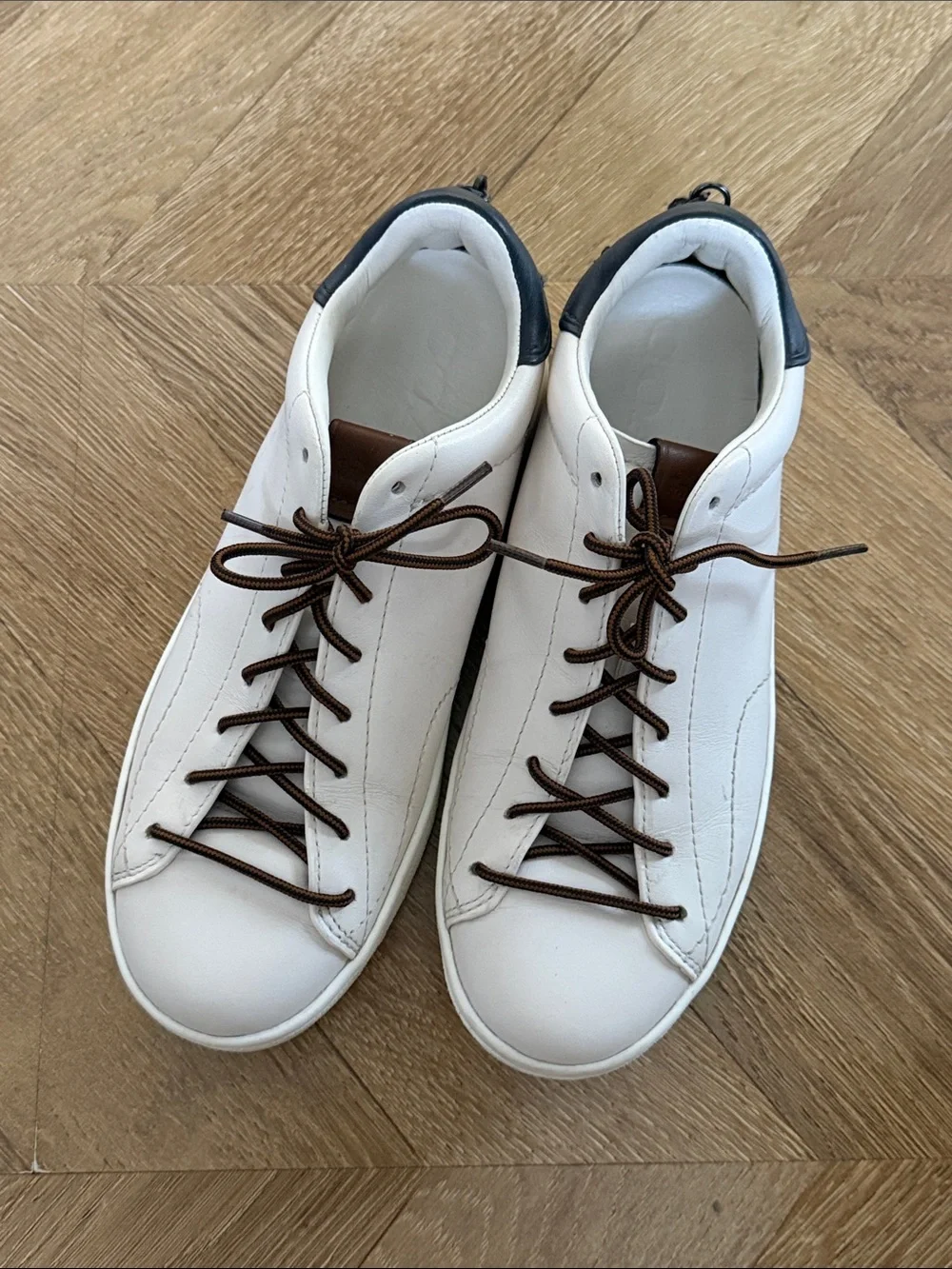 Coach low top sneakers